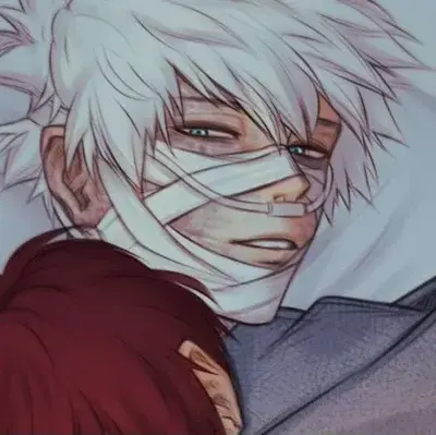 IdealBee0583의 toya todoroki