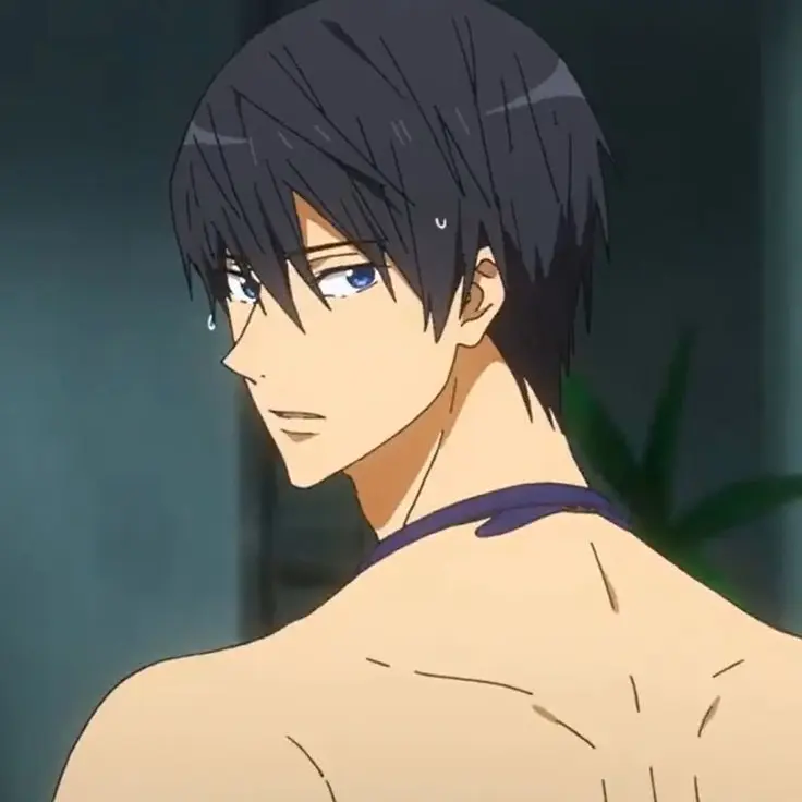 Dani_anime의 Free! Iwatobi swim club