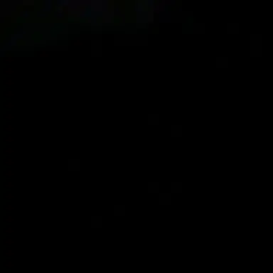 Profile image of 김동현