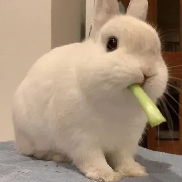 rnrkoo의 いじめられっ子の君