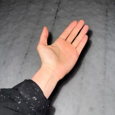 Profile image of 성한빈