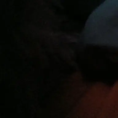 Profile image of Stepdad Mike