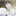 카르네