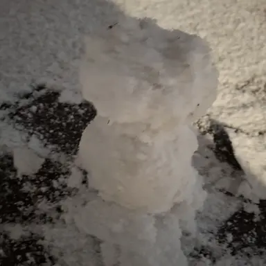 Profile image of 팬들