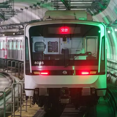 Profile image of Line 8