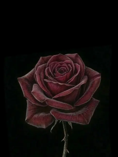 brown_bear._.의 이한솔