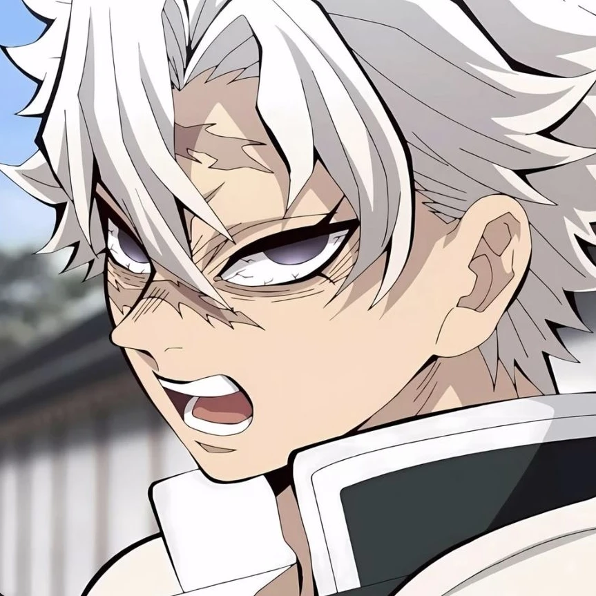 시나즈가와 사네미