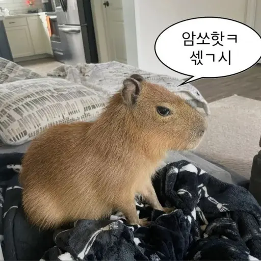 AwarePaste7194의 귀염카피