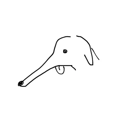 Profile image of Boizor