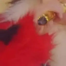 Profile image of 髙地