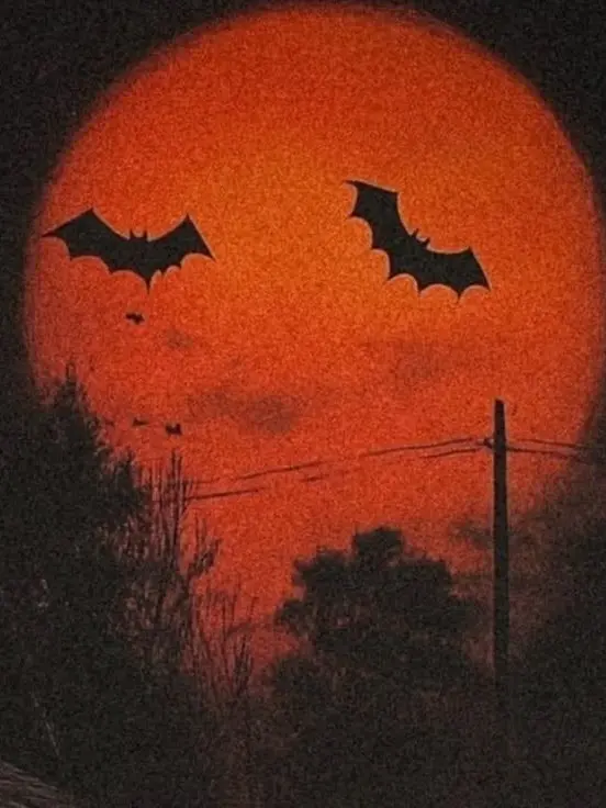 Kkou의 Halloween night!