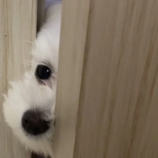 bambi0830의 김규빈