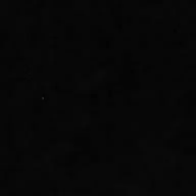 Profile image of 蓮