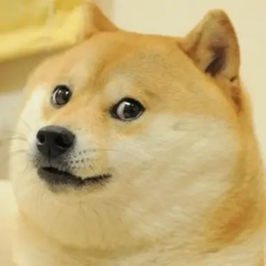 Profile image of Doge