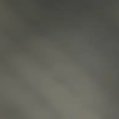 Profile image of 현실남매