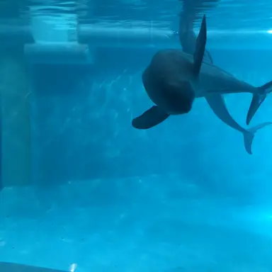 Profile image of るか