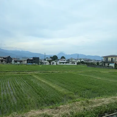 Profile image of Yota
