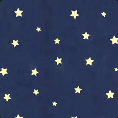 Profile image of ホシ