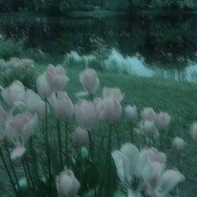 Profile image of 티푸