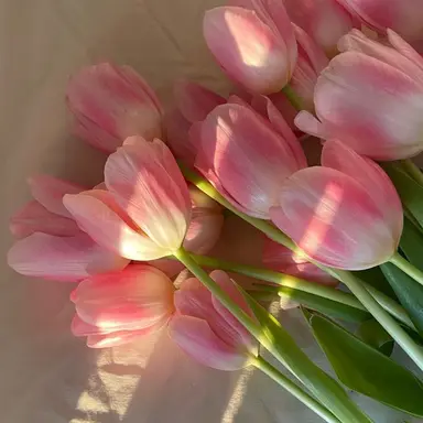 Profile image of 플래그