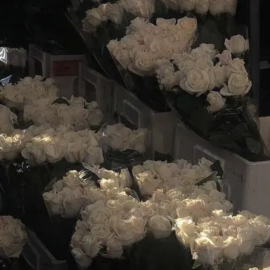 Profile image of 우융