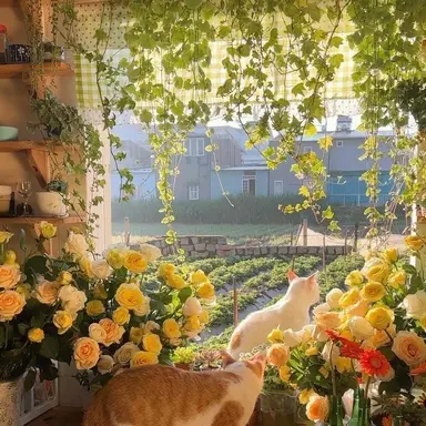 Profile image of 쪼만