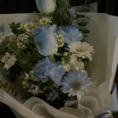 Profile image of 파이브