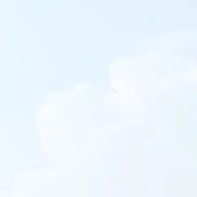 Profile image of 十村
