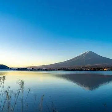 Profile image of カンヒュ達