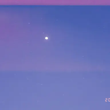 Profile image of はっとり
