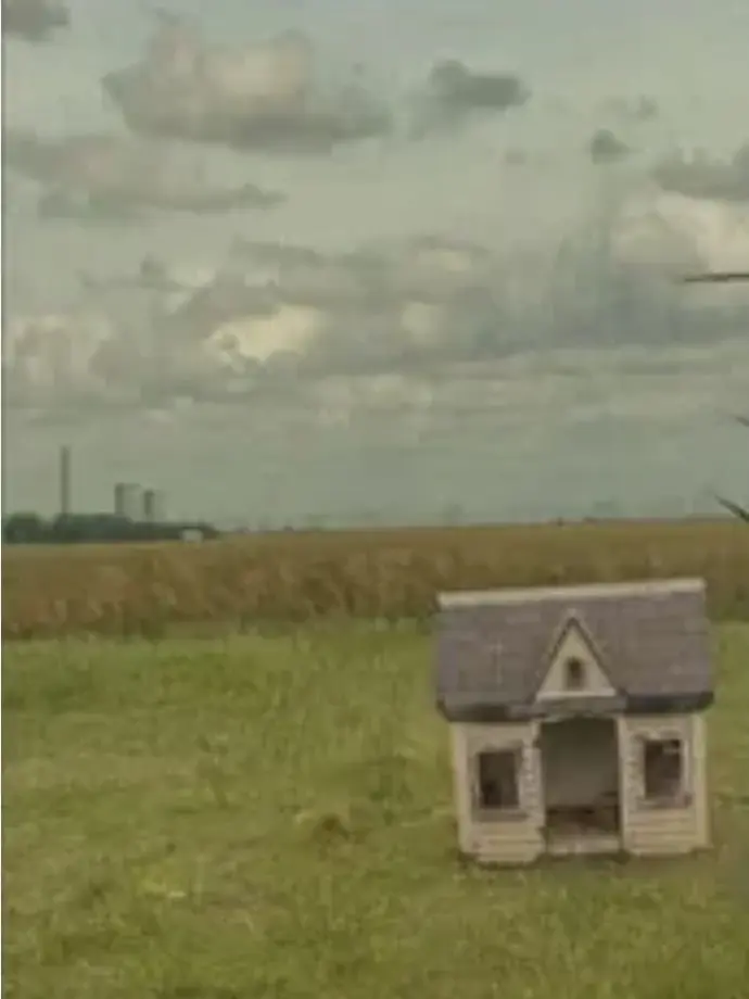 RichState4354의 I am home alone.