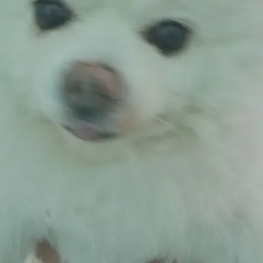 Profile image of 캐나다
