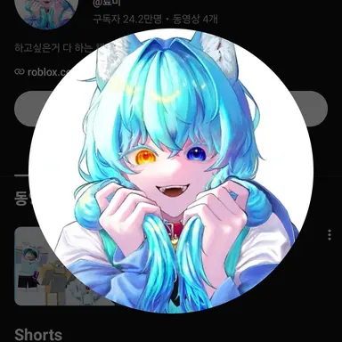 Profile image of 료미