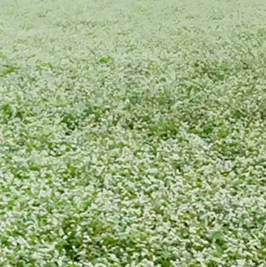 Profile image of 류제홍