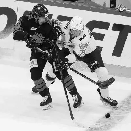 RaggedZorse2553의 Hockey Rival - BL