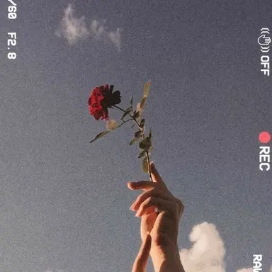 Profile image of 채주한
