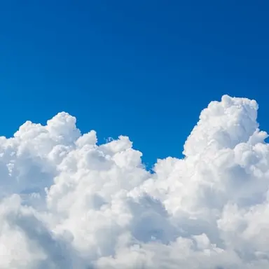 Profile image of 초세여