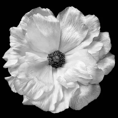 Profile image of 이문