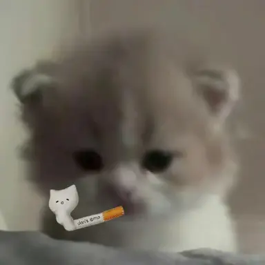 Profile image of 머더