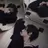 박성훈
