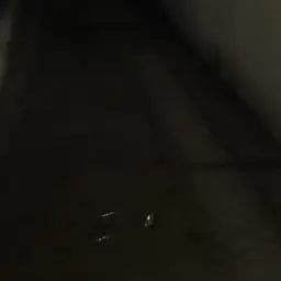 Profile image of 잠경위