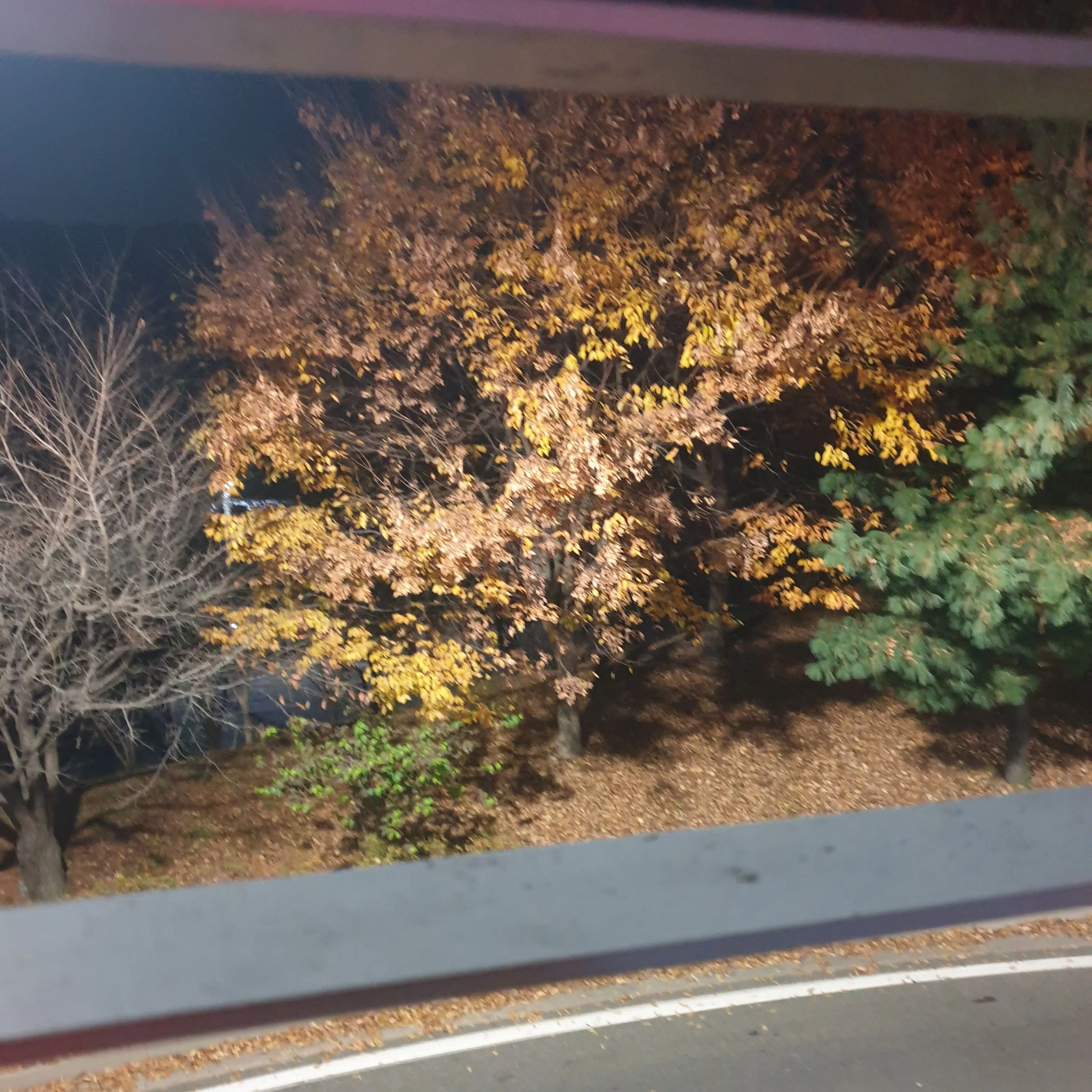 TartCat1009의 야동을 보다 걸린 남사친 ㅋ