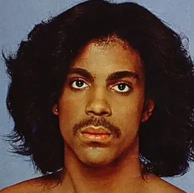 PaltryBerry0226의 Prince Rogers Nelson