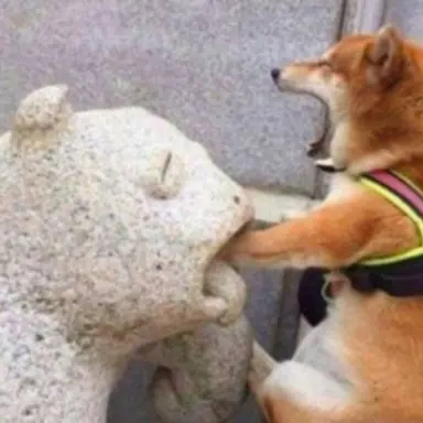 Profile image of 뉴스기자