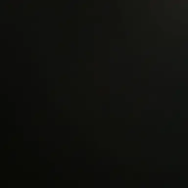 Profile image of 여왕벌