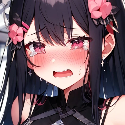 하루