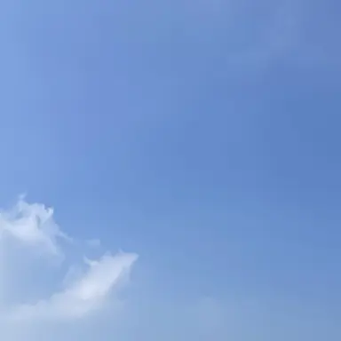 Profile image of UN