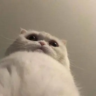 Profile image of 보이즈플래닛 2