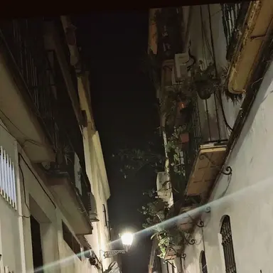 Profile image of 에스파