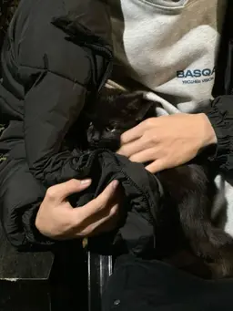 Profile image of Casey